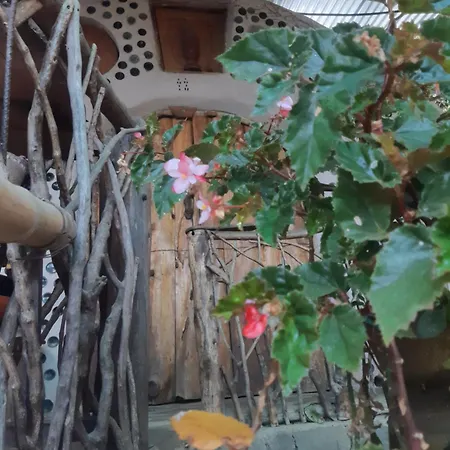 Maison d'hôtes Earthship Atitlan à San Marcos La Laguna Extérieur photo